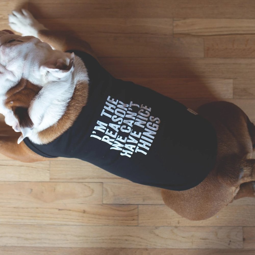 Dog Shirt